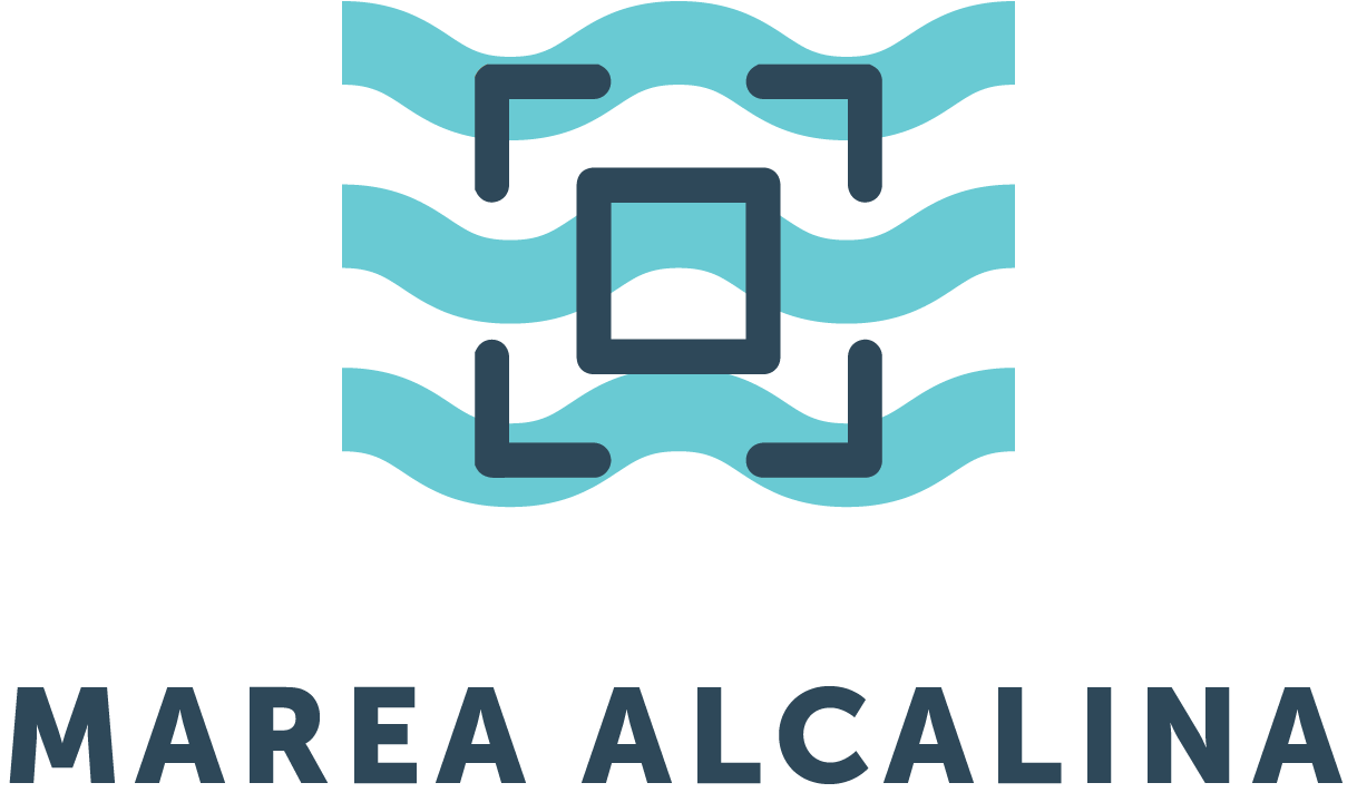 Logo de Alser Anca / Trailers Caracol