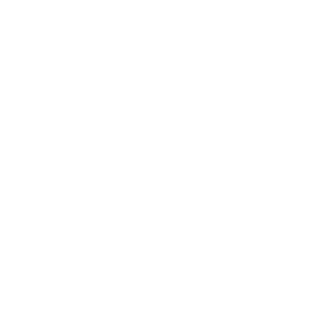 Logo de Magno Company